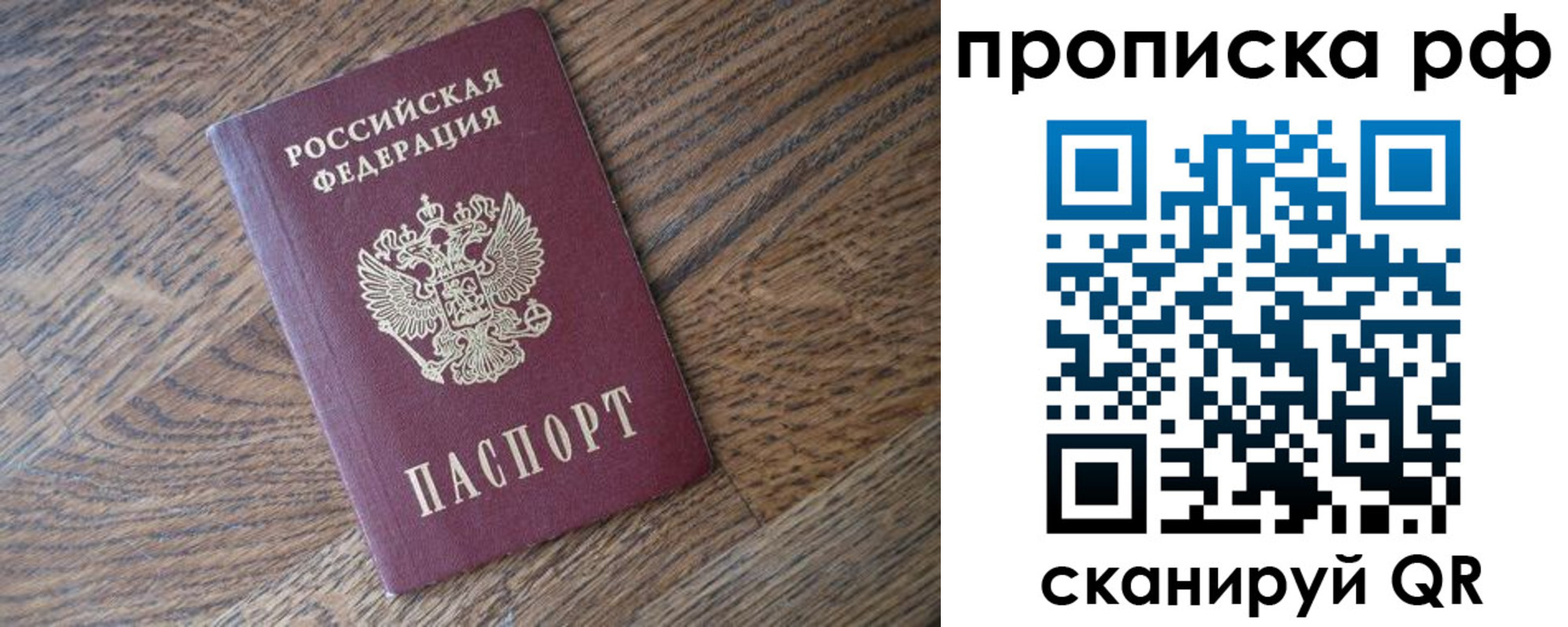 прописка поиск в Кингисеппе